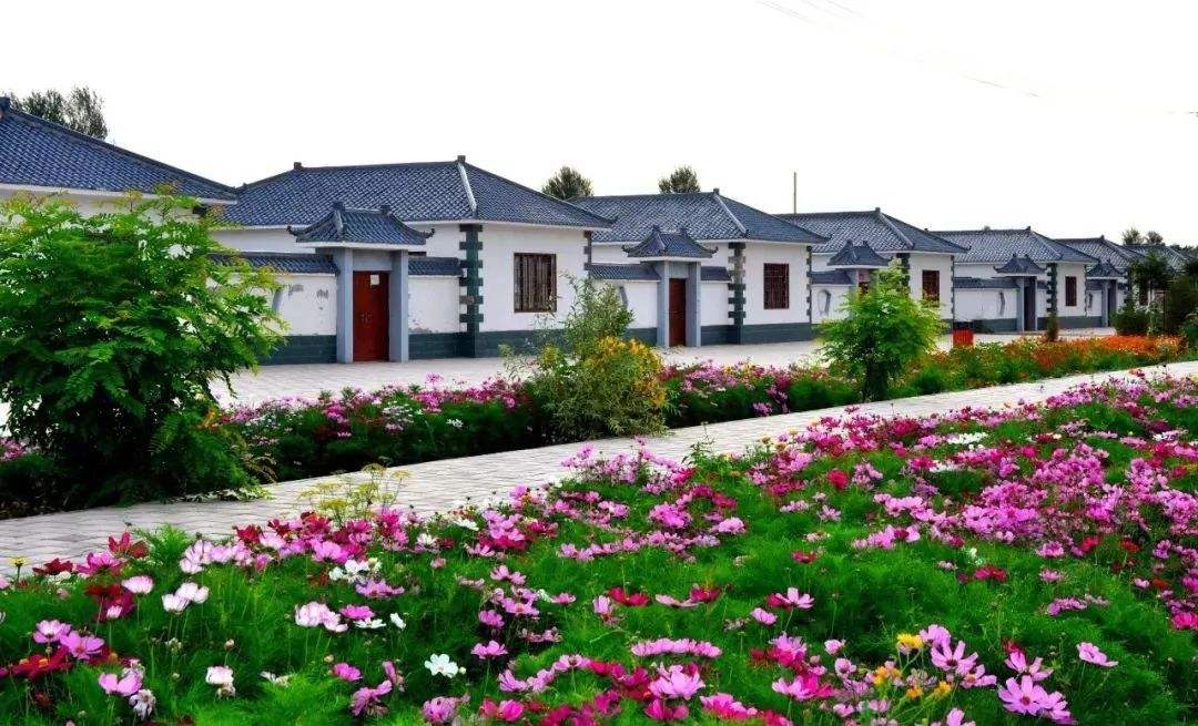 【聚焦】关于农村宅基地，北京市政府出台最新管理意见