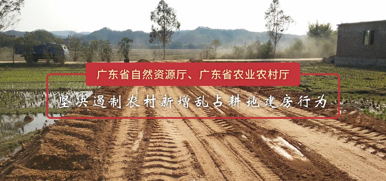 广东省疏堵结合坚决遏制农村新增乱占耕地建房行为