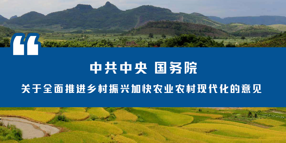 中共中央 国务院关于全面推进乡村振兴加快农业农村现代化的意见