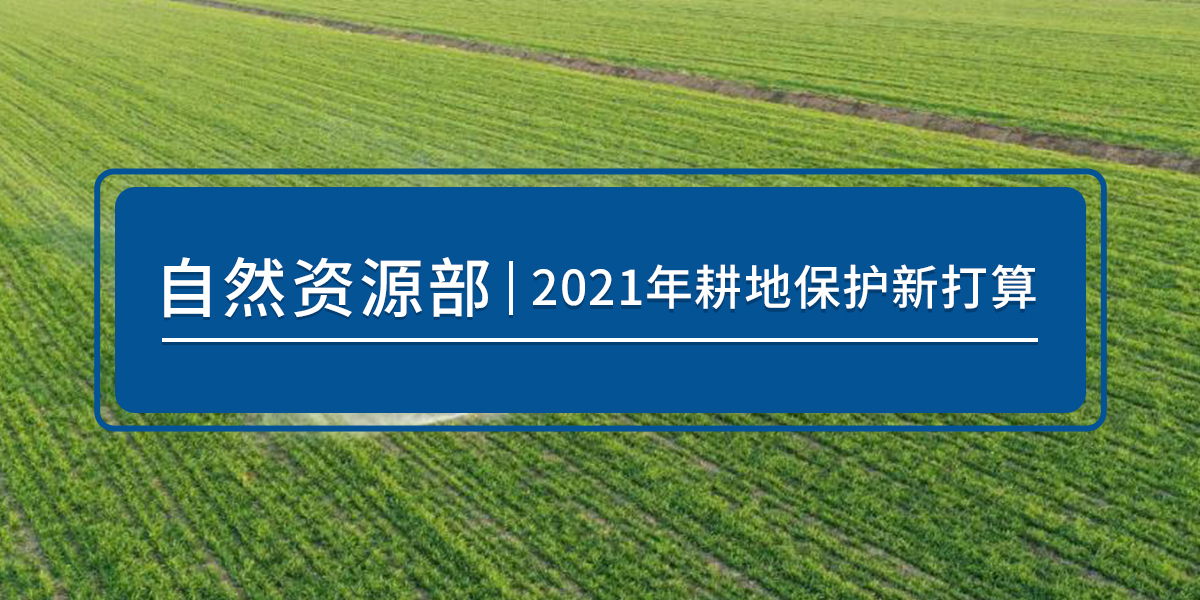 2021年耕地保护新打算