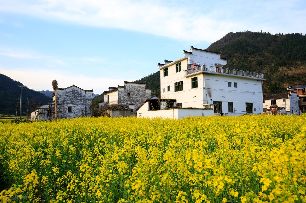 农村乱占耕地建房典型案例通报