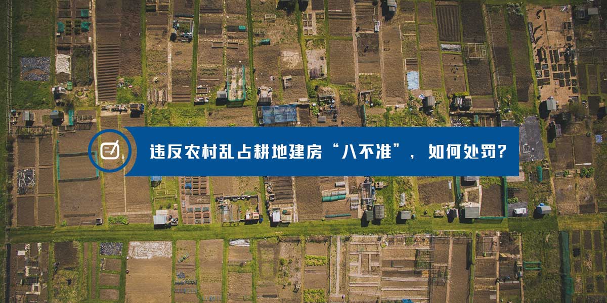 违反农村乱占耕地建房“八不准”，如何处罚？